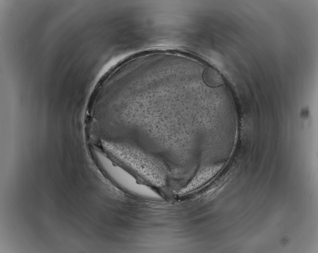 X0000098161412200805011420