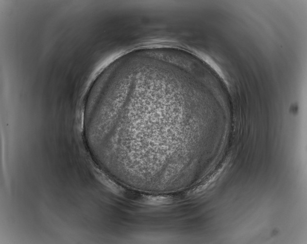 X0000098161413200805011420