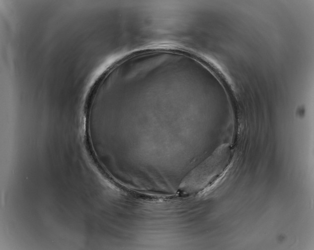 X0000098161414200805011420