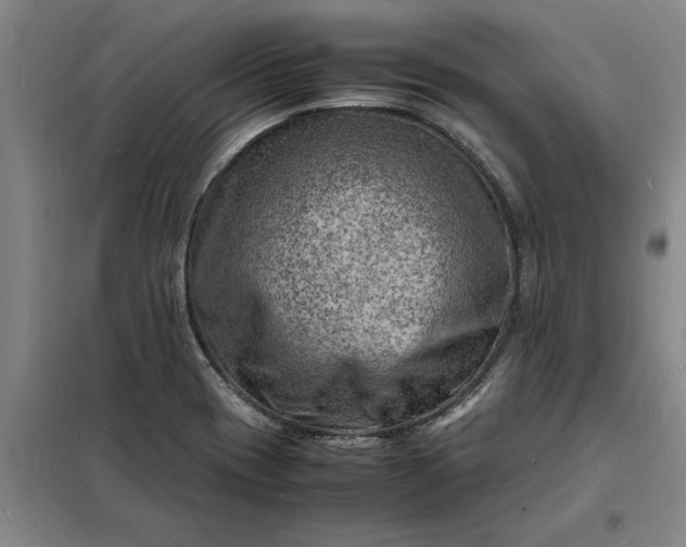 X0000098161417200805011420