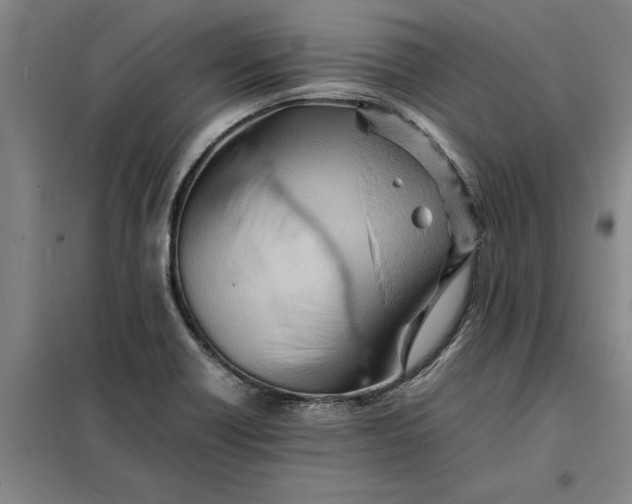 X0000098161418200805011420