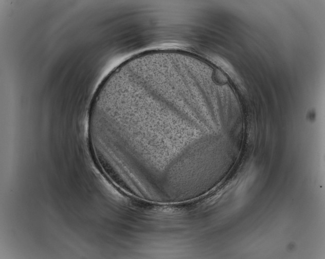 X0000098161420200805011420