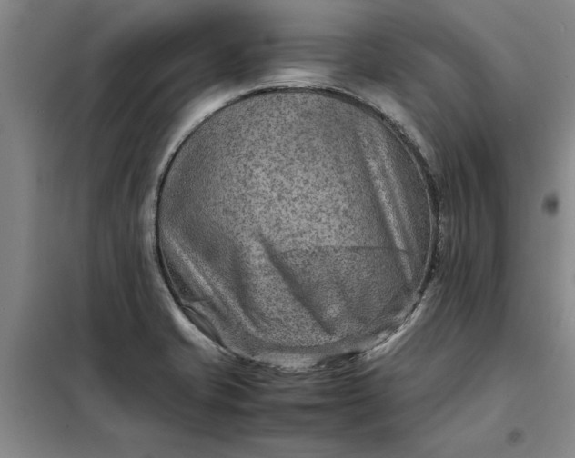 X0000098161421200805011420