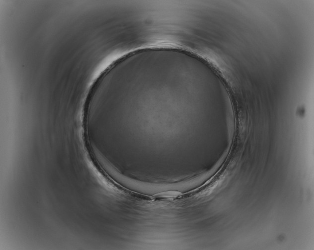 X0000098161422200805011420
