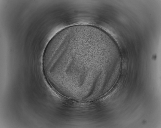 X0000098161423200805011420