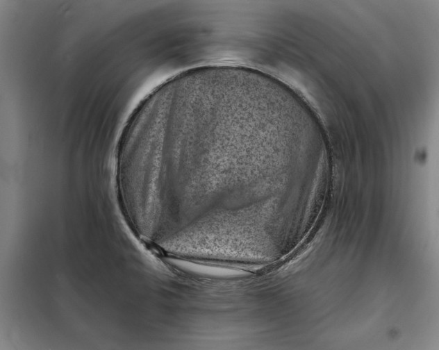 X0000098161424200805011420