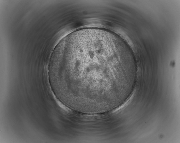 X0000098161425200805011420