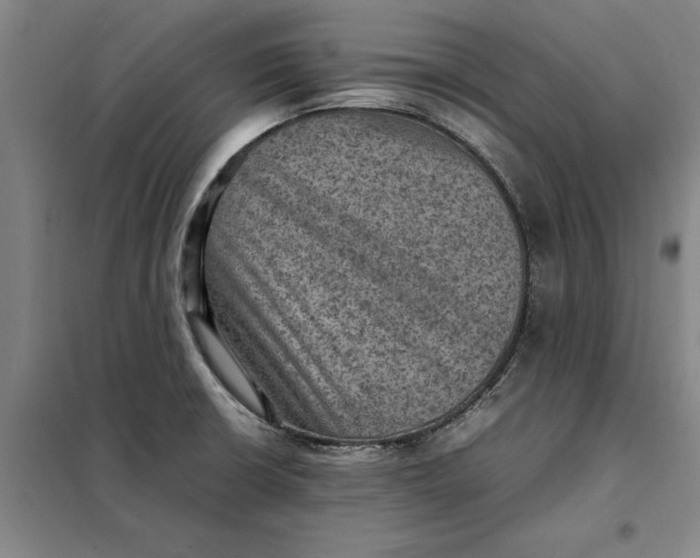 X0000098161426200805011420