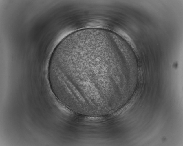 X0000098161427200805011420