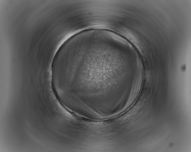 X0000098161428200805011420