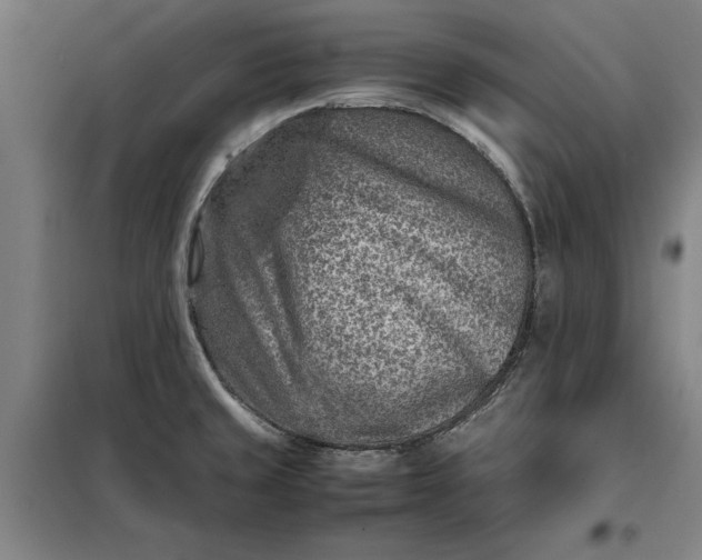 X0000098161429200805011420