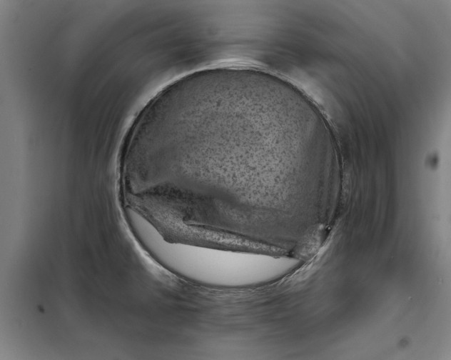 X0000098161430200805011420