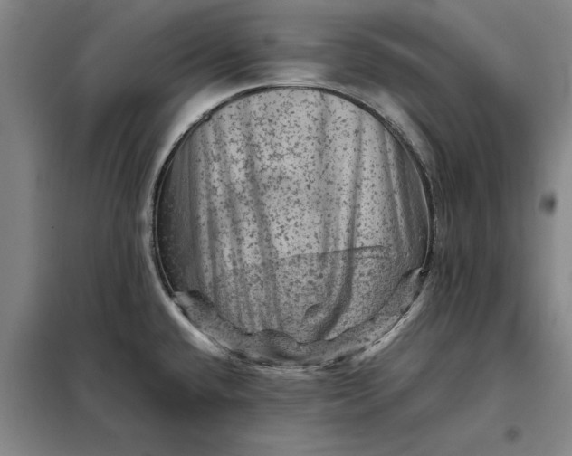 X0000098161432200805011420