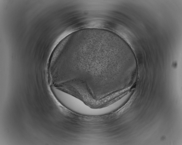 X0000098161434200805011420