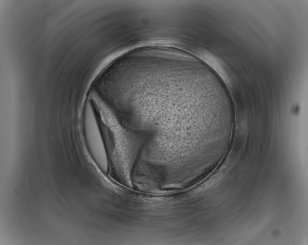 X0000098161436200805011420