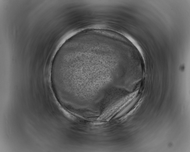 X0000098161437200805011420