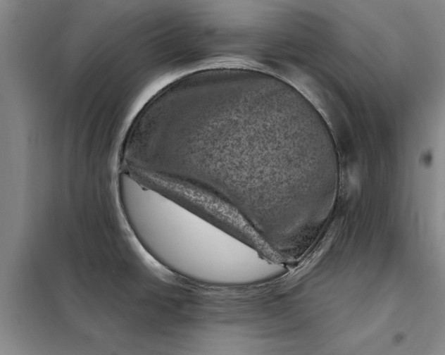 X0000098161438200805011420