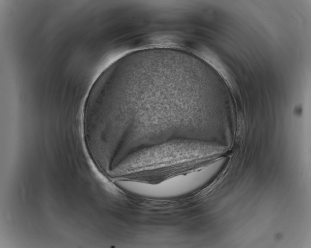 X0000098161439200805011420