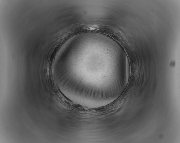 X0000098161442200805011419