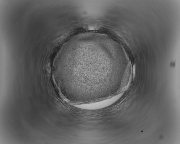 X0000098161443200805011419