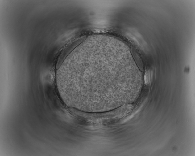 X0000098161444200805011419