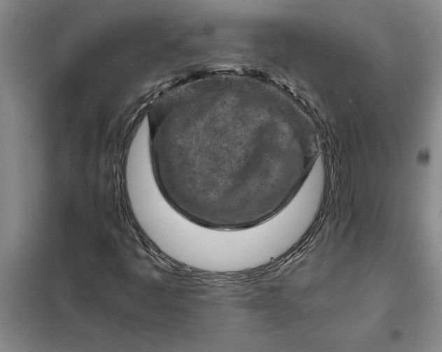 X0000098161445200805011419