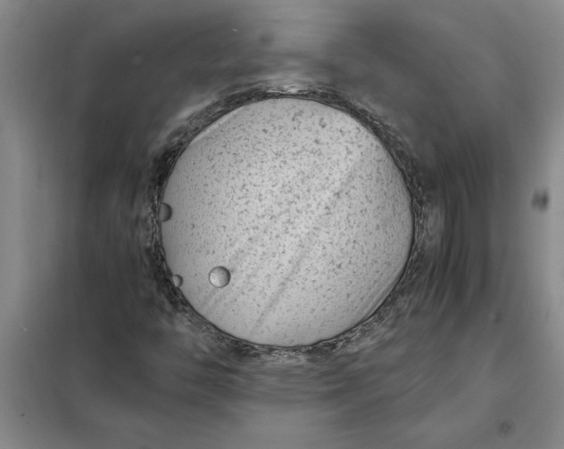 X0000098161446200805011419
