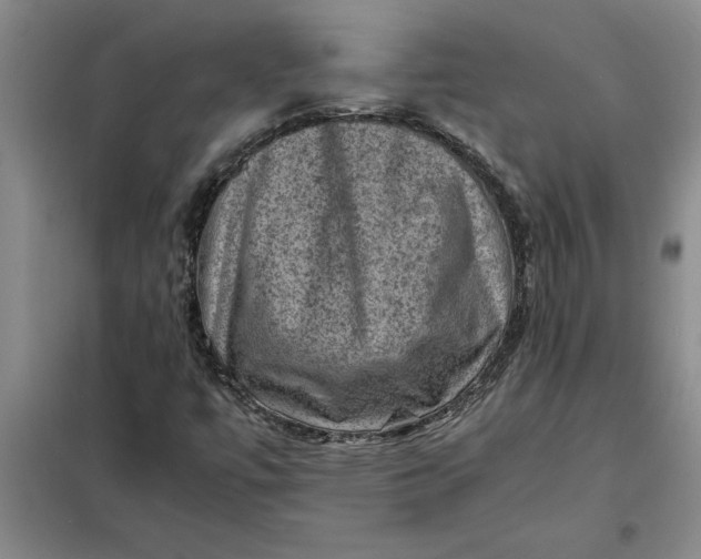 X0000098161447200805011419