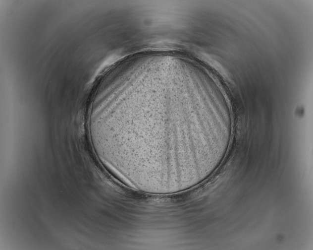 X0000098161451200805011419