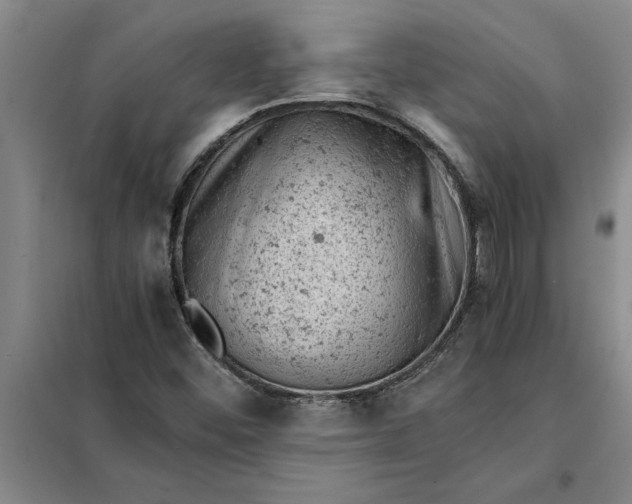X0000098161452200805011419