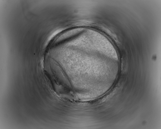 X0000098161453200805011419