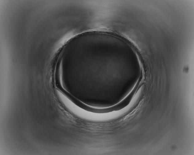 X0000098161455200805011419