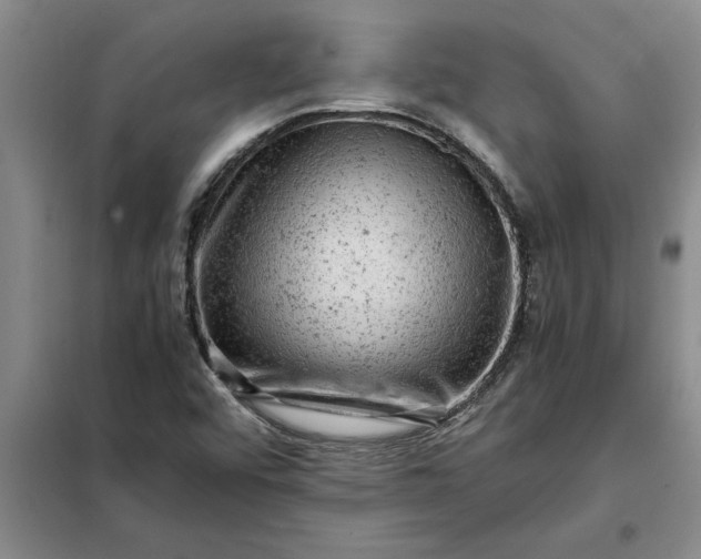 X0000098161456200805011419