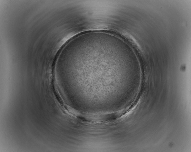 X0000098161457200805011419