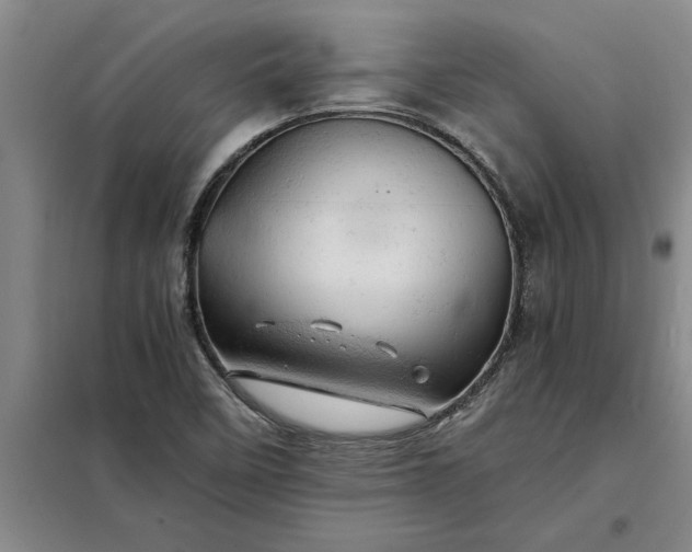 X0000098161458200805011419
