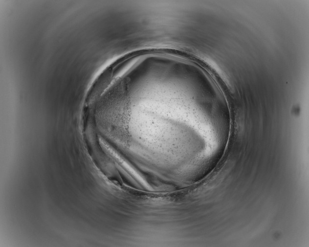 X0000098161460200805011419