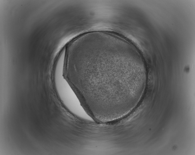 X0000098161461200805011419