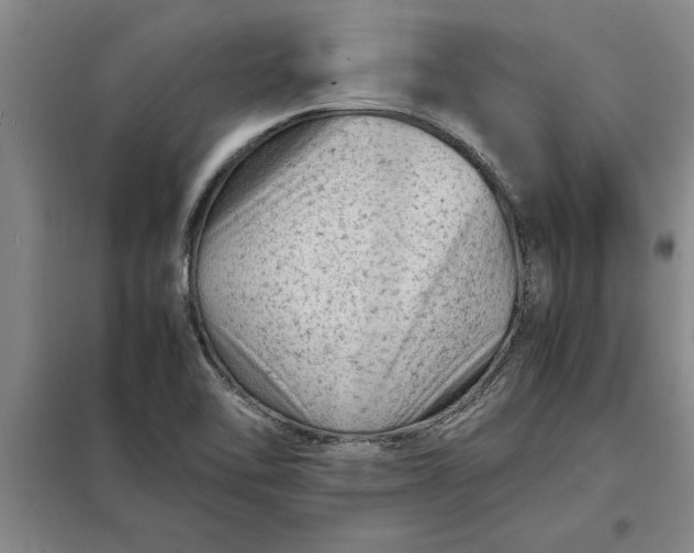 X0000098161462200805011419