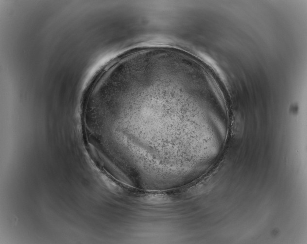 X0000098161464200805011419
