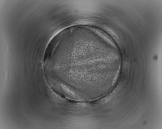 X0000098161465200805011419