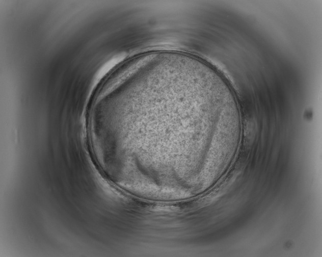 X0000098161466200805011419