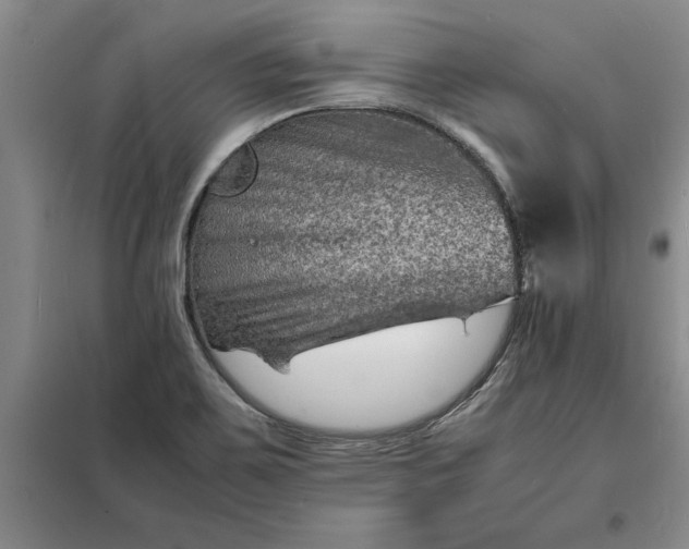X0000098161467200805011419