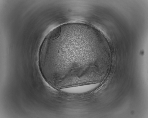 X0000098161471200805011419