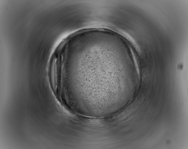 X0000098161472200805011419