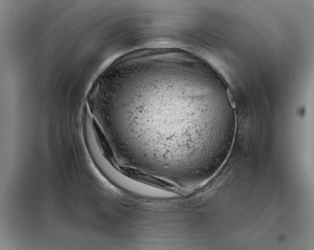 X0000098161476200805011419