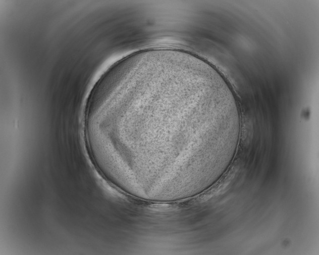 X0000098161478200805011419