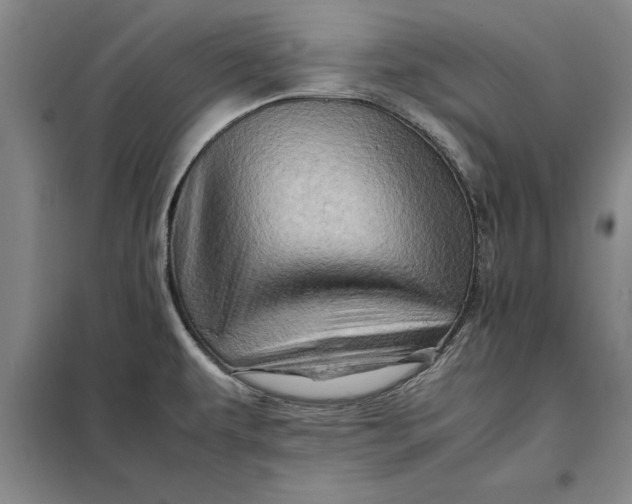 X0000098161479200805011419