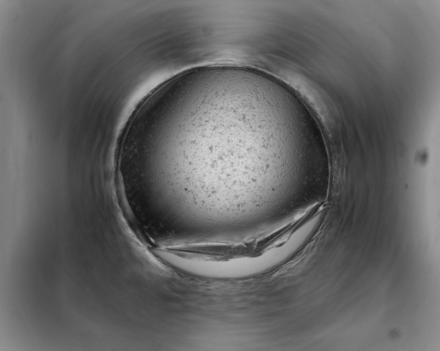 X0000098161480200805011419