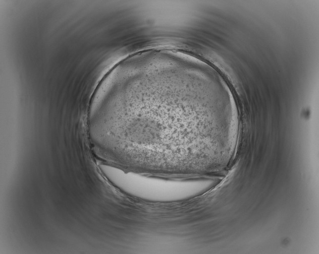 X0000098161481200805011419