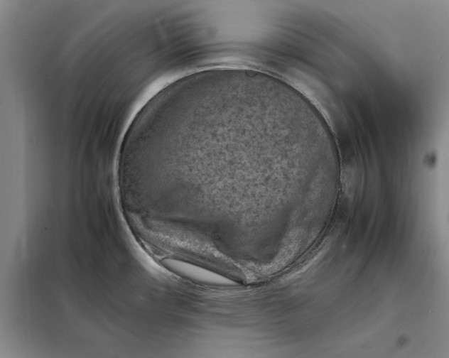 X0000098161482200805011419